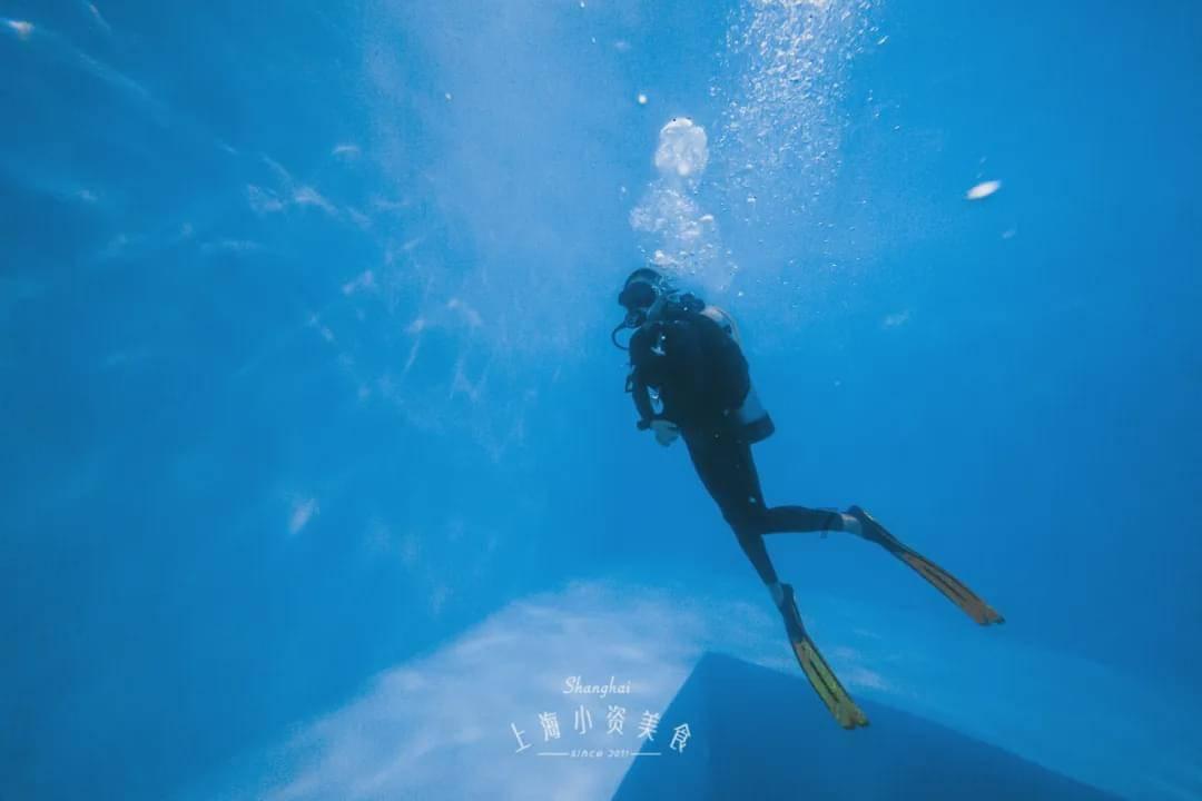 探索知识星球平台10楼阳台改卧室,致住户坠落,房东和租房公司谁的责任更大?,解锁无限学习之旅